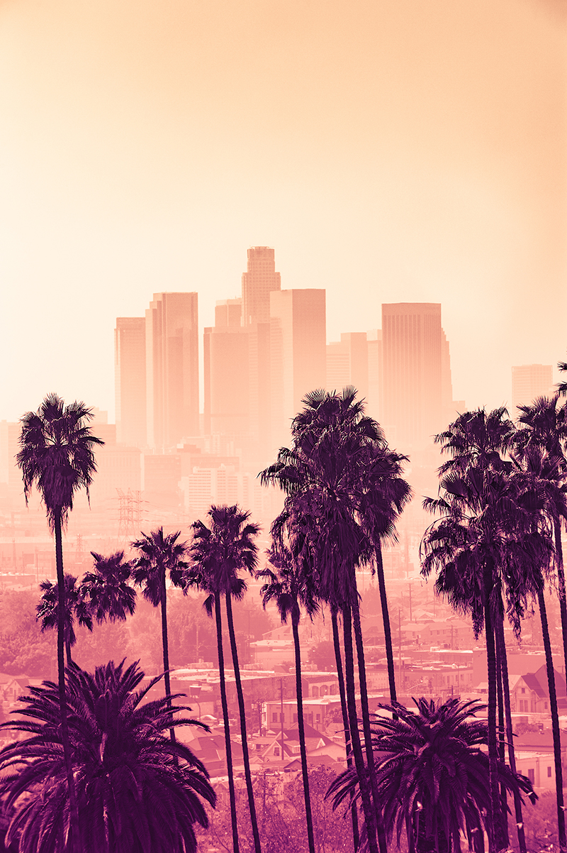Los Angeles skyline with palm trees in the foreground